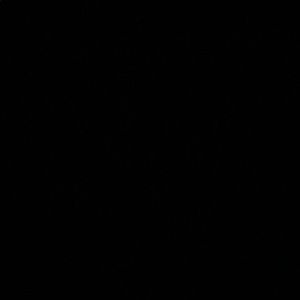 Meet your Posher, Miriam